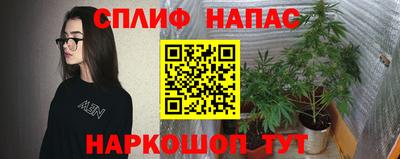 apvp Коммунар