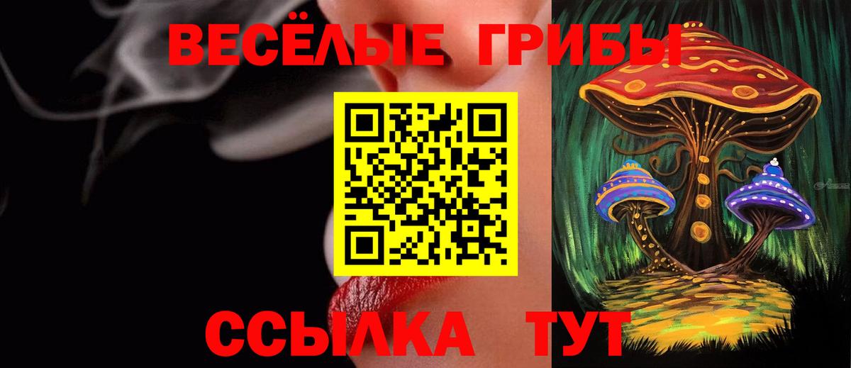Кириши  Псилоцибиновые грибы Psilocybe  Вход с VPN 
