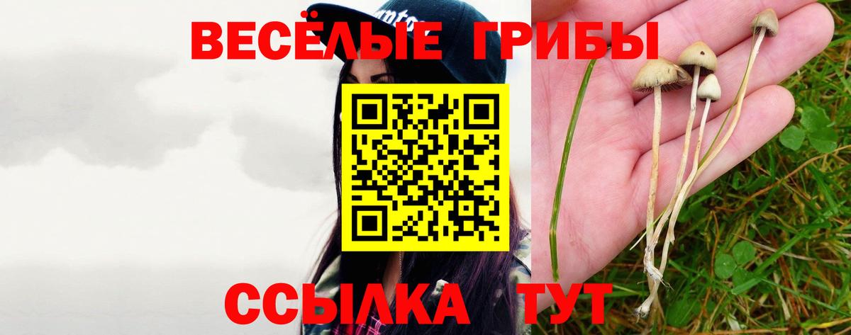 Псилоцибиновые грибы Psilocybine cubensis Кириши
